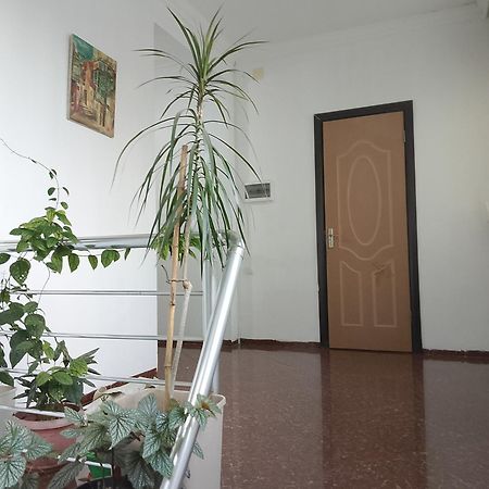 Jesis Batumi Hostel Εξωτερικό φωτογραφία