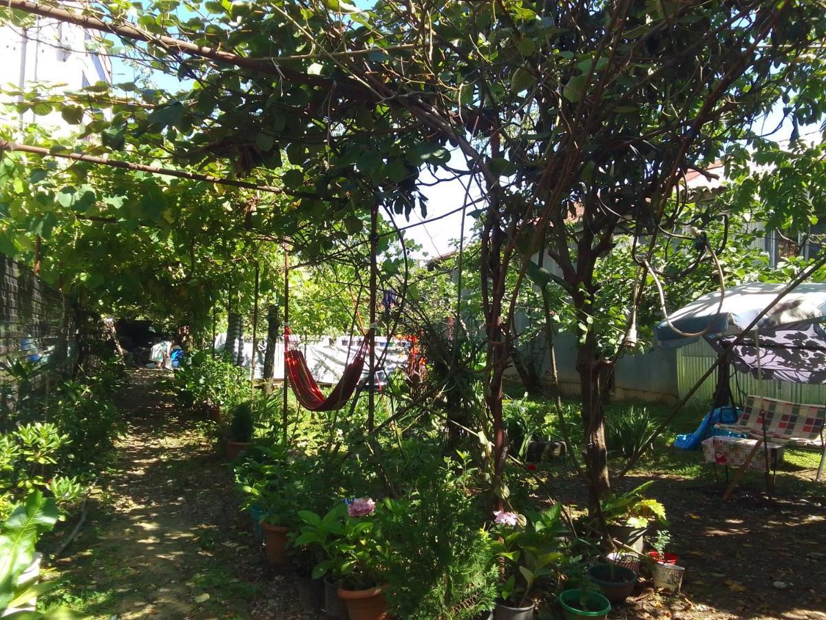 Jesis Batumi Hostel Εξωτερικό φωτογραφία