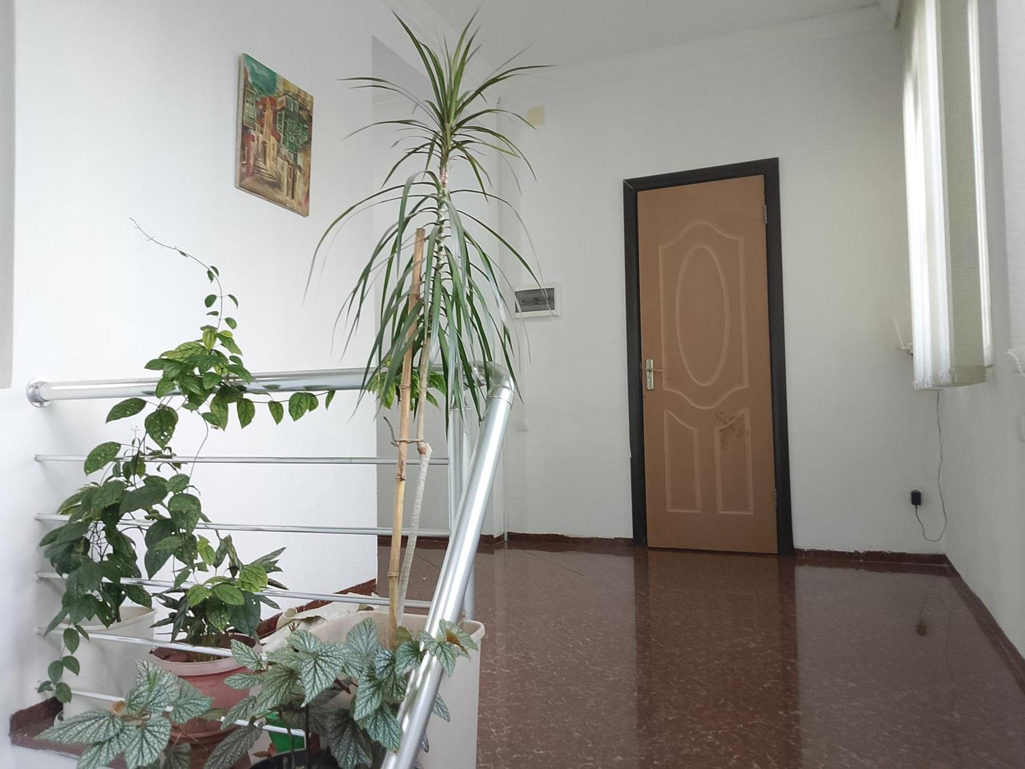 Jesis Batumi Hostel Εξωτερικό φωτογραφία